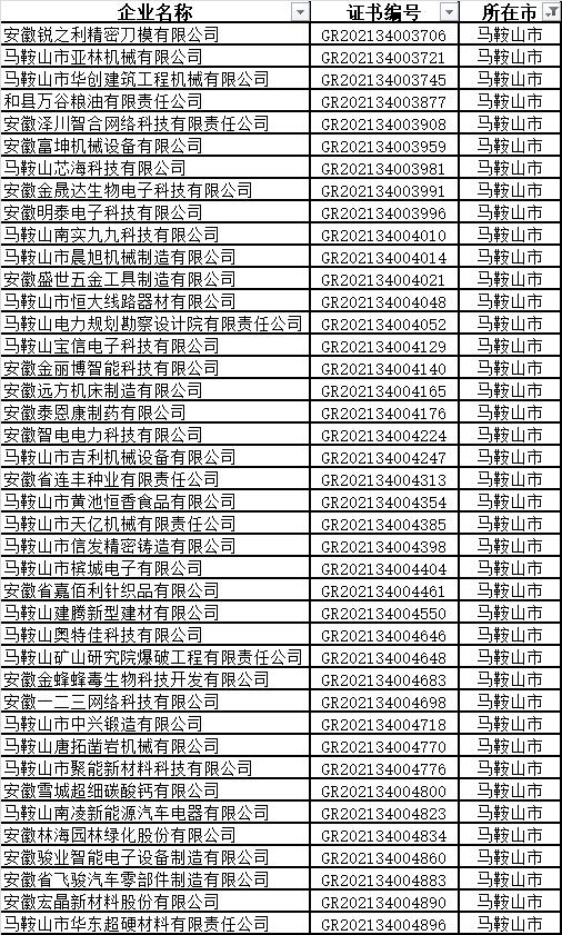 馬鞍山市高新技術企業名單